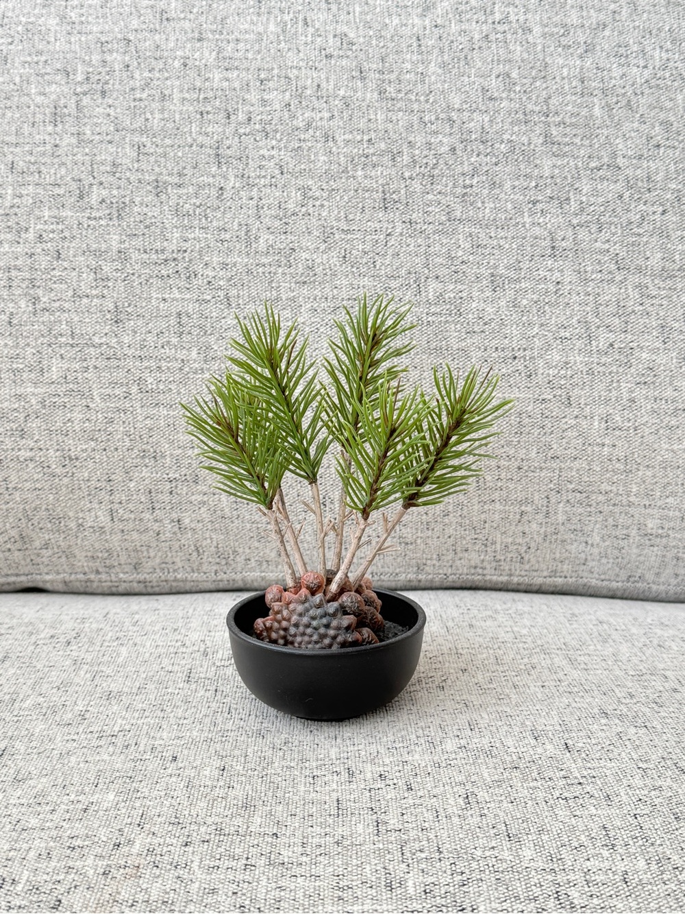 Ikea Mini Faux Pine Bonsai in Black Ceramic Pot - Green